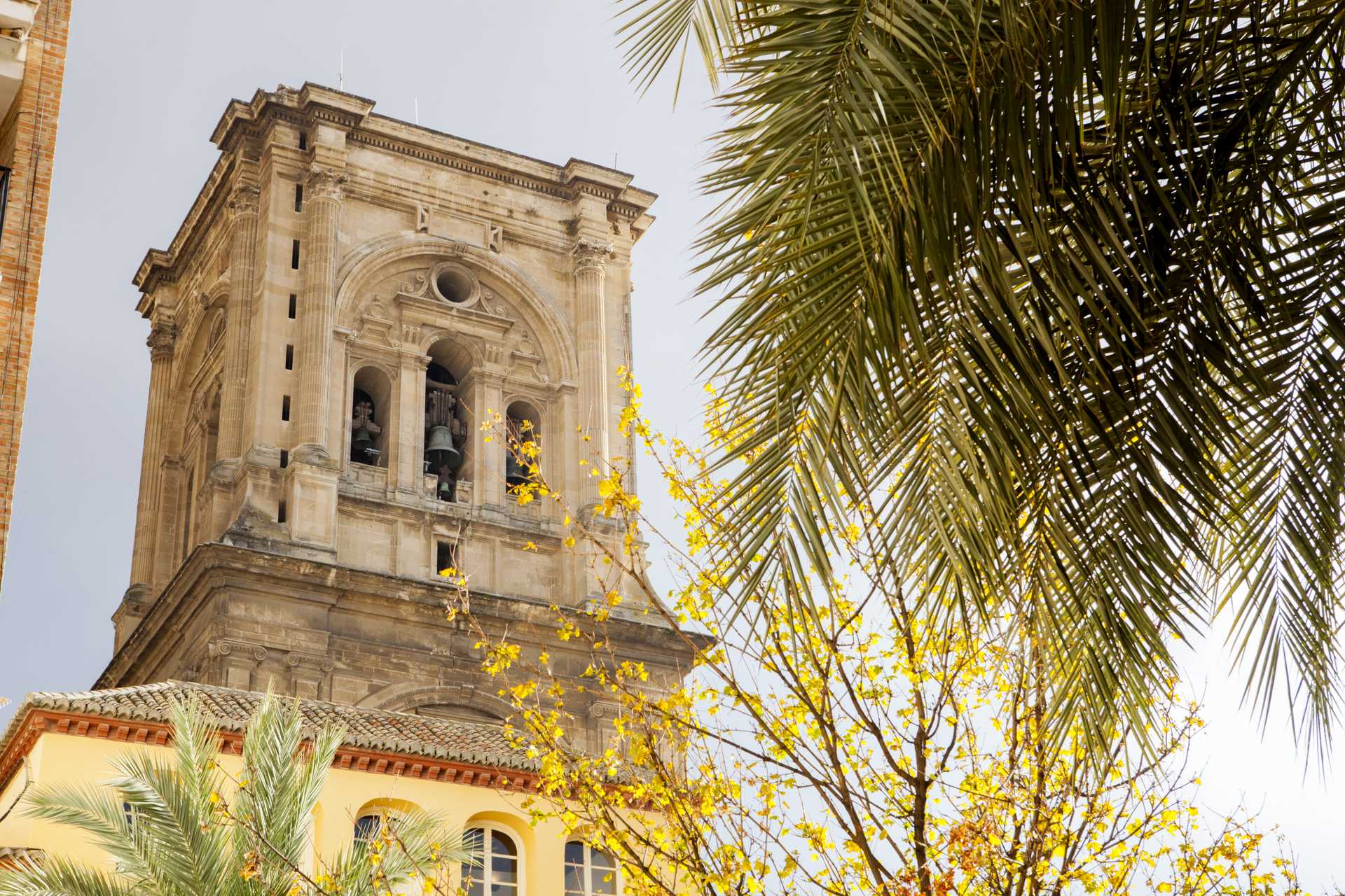 Vive la Semana Santa en Granada